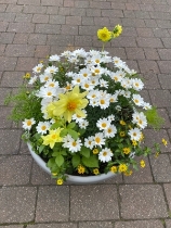 Yellow and white outdoor planter